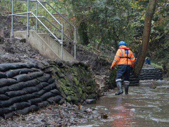 Bank reinstatement and erosion protection