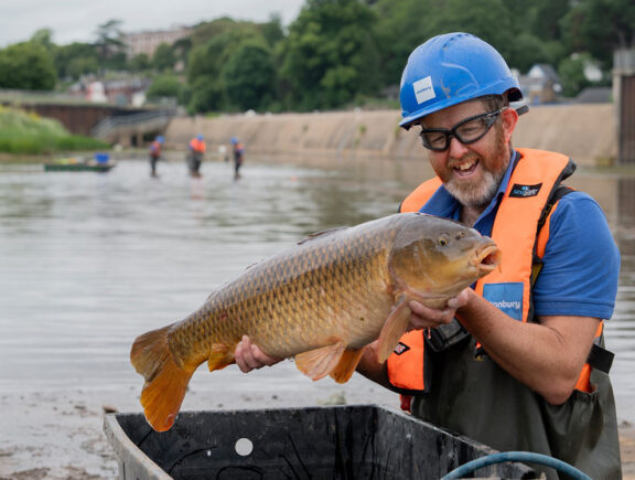 Fish rescue and relocation