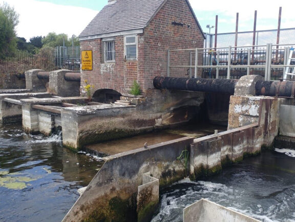 Fish counter installation