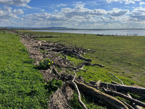 Reducing carbon in riverbank maintenance