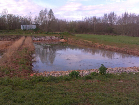 Reedbed refurbishment works