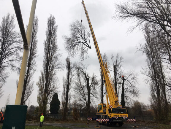 Aerial tree works