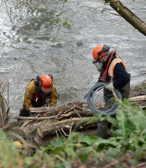 Environmental Landscaping and Habitat Works