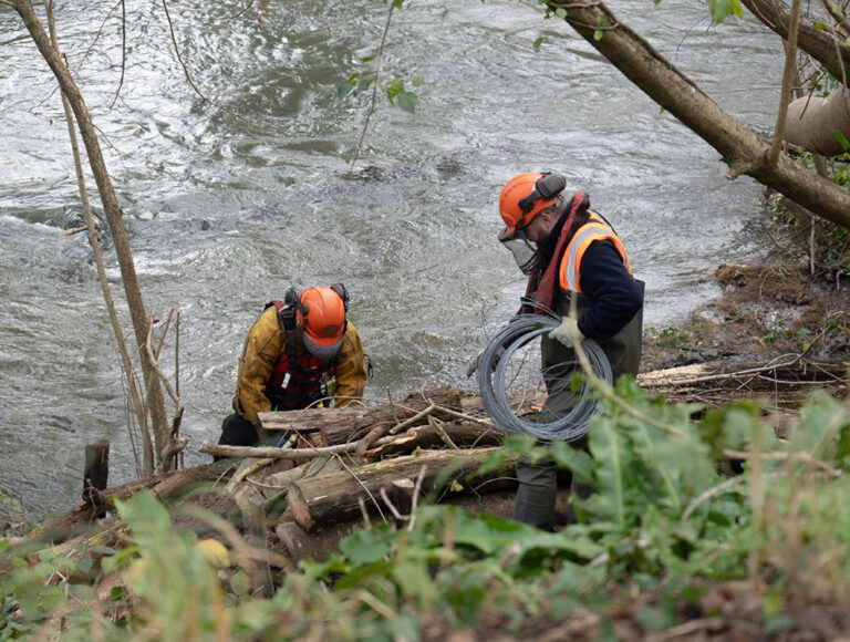 Environmental Landscaping and Habitat Works