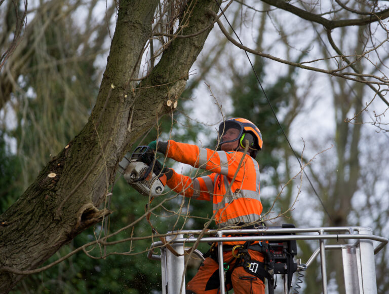 Thompsons Group has joined the Stonbury Group of Companies