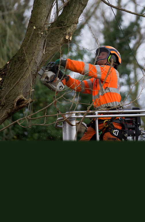 Thompsons Group has joined the Stonbury Group of Companies